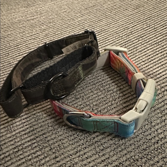 Dog Collars - Size Small - Picture 2 of 4